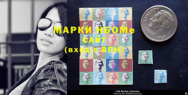 прущие грибы Осташков