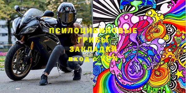 прущие грибы Осташков