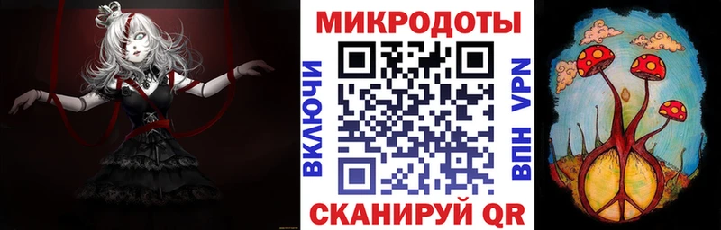 Псилоцибиновые грибы Psilocybine cubensis  Козловка 